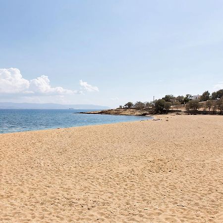 Villa San Dimitrio House On The Beach Λογαράς Εξωτερικό φωτογραφία