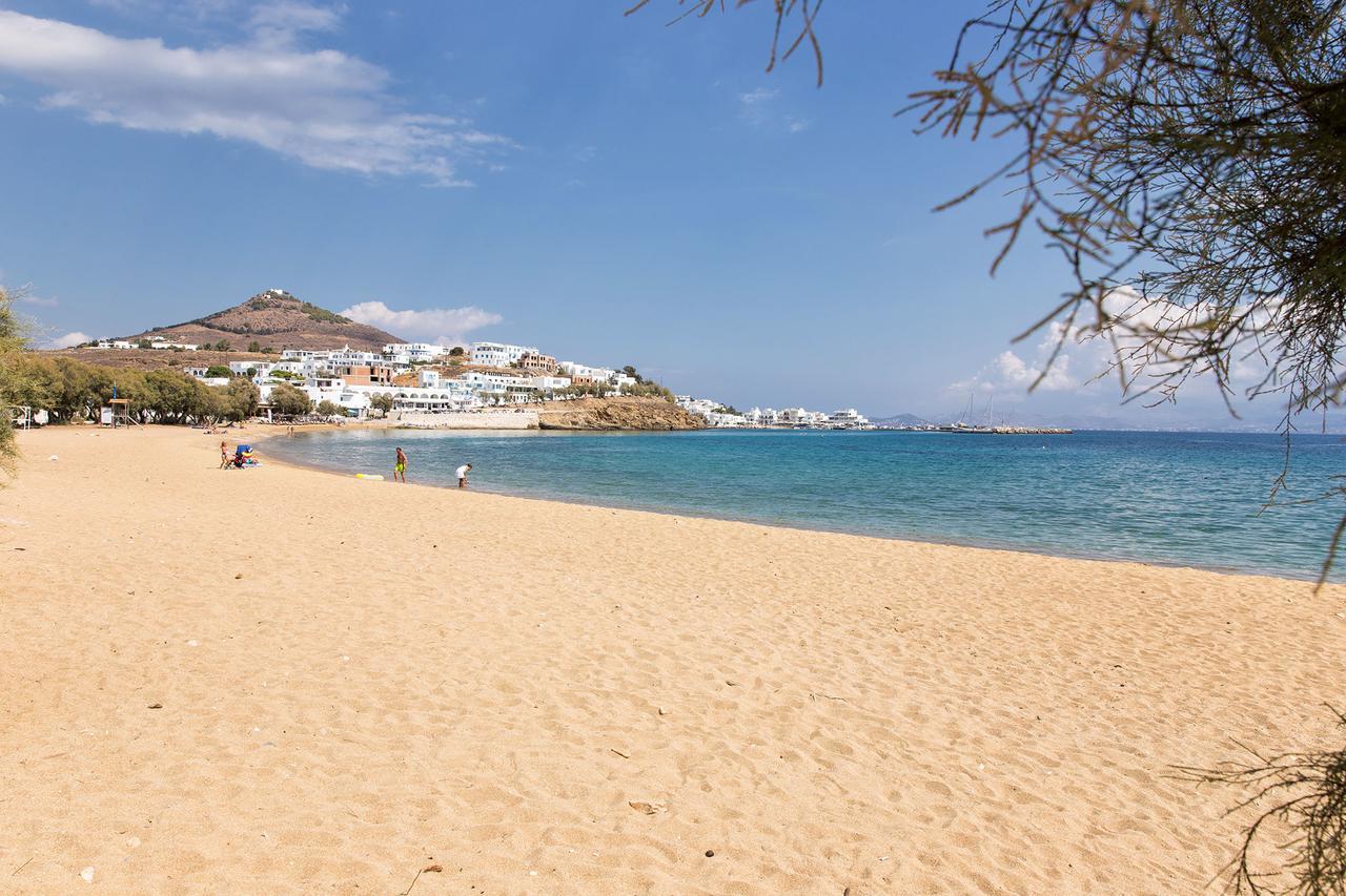 Villa San Dimitrio House On The Beach Λογαράς Εξωτερικό φωτογραφία