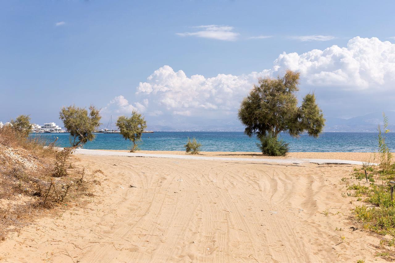 Villa San Dimitrio House On The Beach Λογαράς Εξωτερικό φωτογραφία